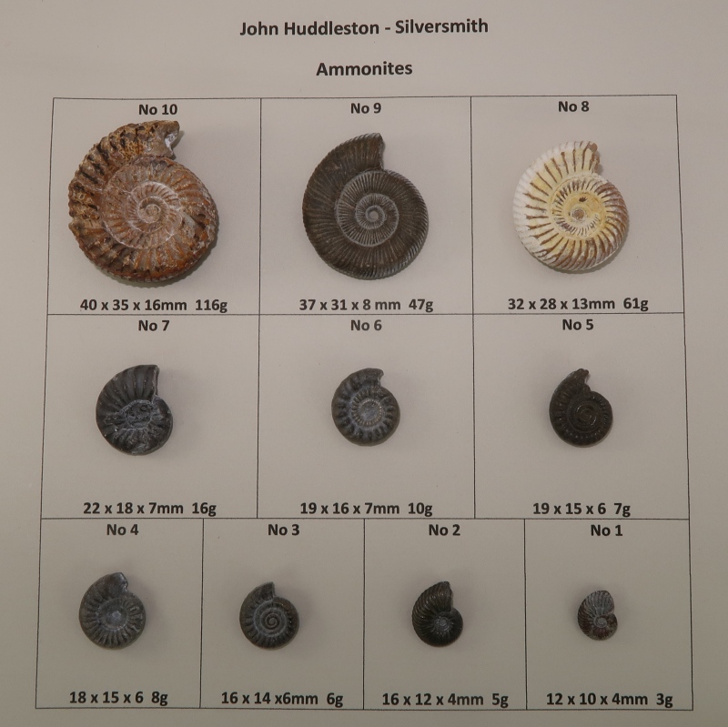 My actual ammonites used for casting